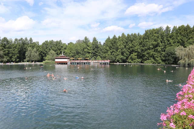 Inspiração Zentromarella